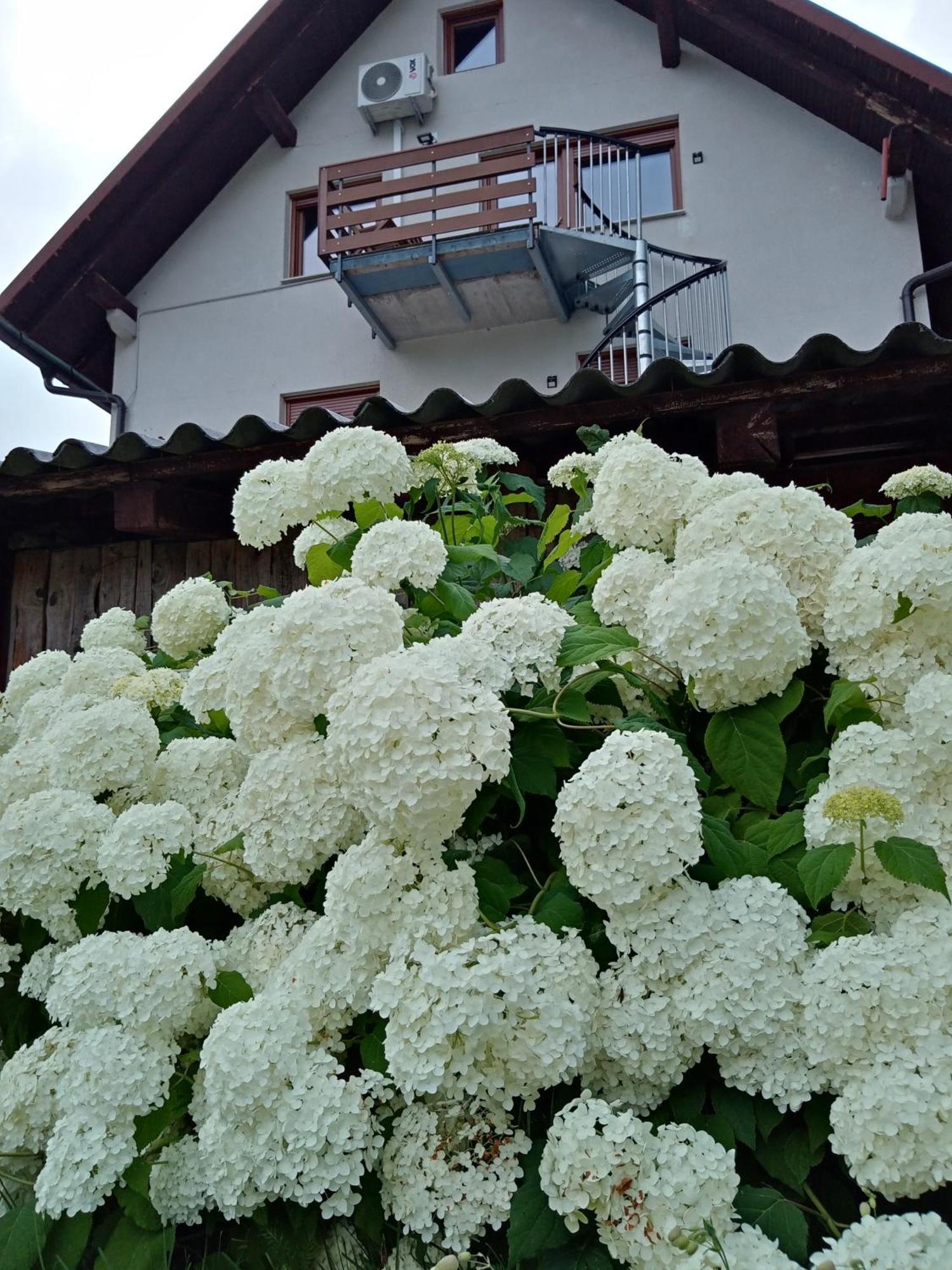 Apartment Vida Bovec Exterior photo